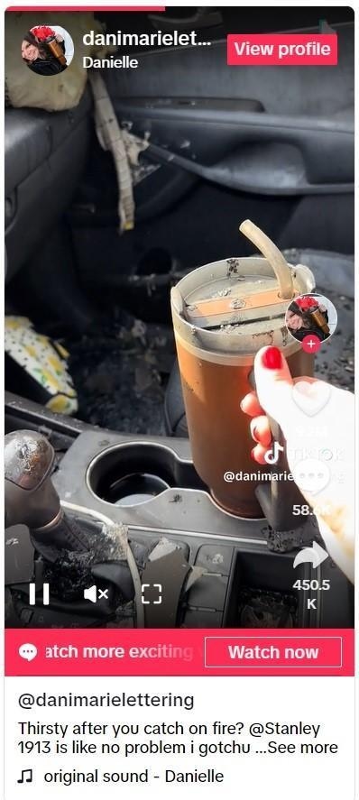 Screenshot from Tiktok video on Stanley bottle
