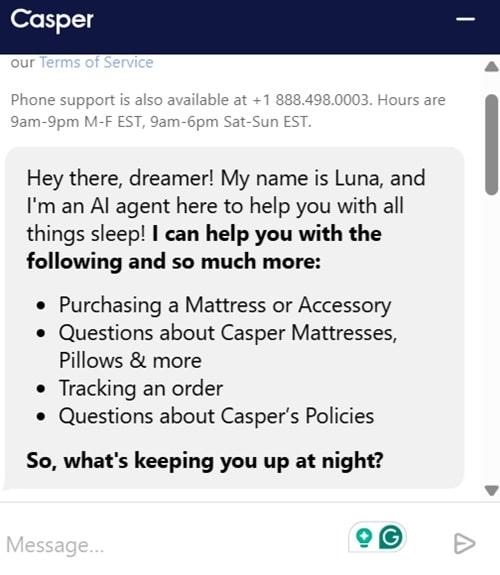 introduction message from AI chatbot tells what it can help with