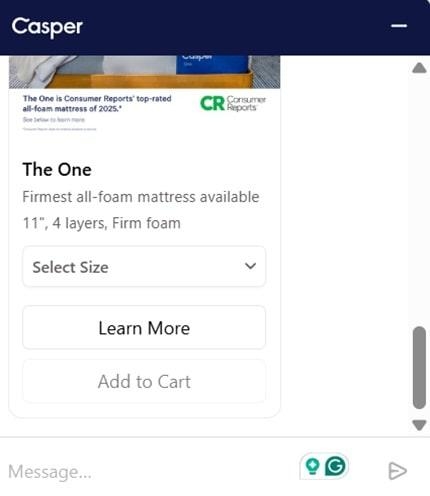 this chatbot helps users make purchases inside the chat
