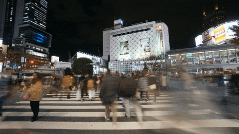 image12.gif