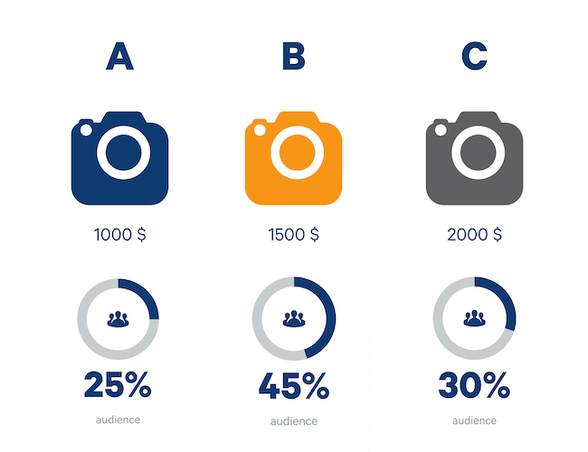 Customer-survey-audience