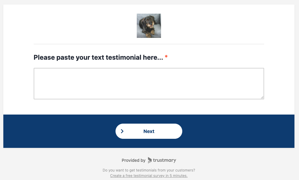 text testimonial survey