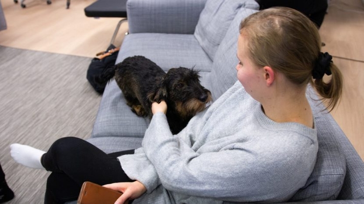 4 exemples de preuve sociale pour vous inspirer