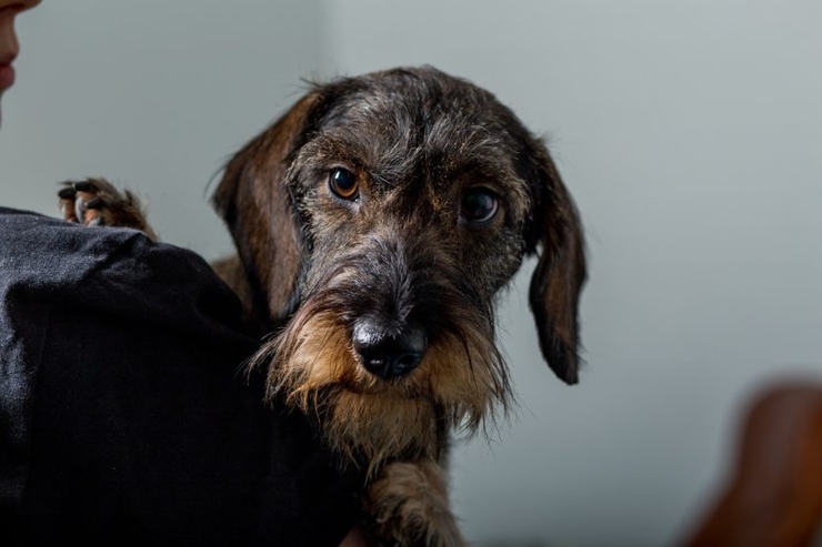 3 Word of Mouth Marketing Examples to Supercharge Your Marketing Campaigns