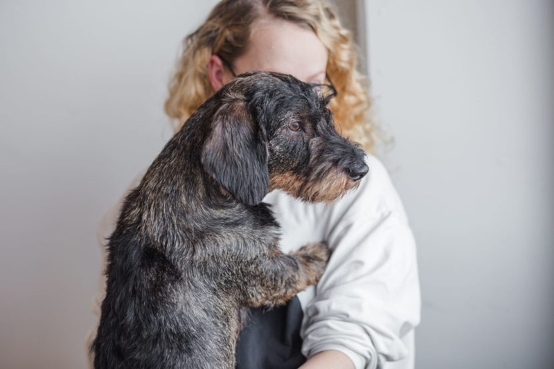 5 parasta kyselytyökalua vuonna 2024